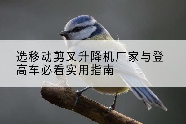 东营电动升降机厂家-选移动剪叉升降机厂家与登高车必看实用指南