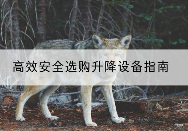 东营升降货梯厂家推荐-*安全选购升降设备指南